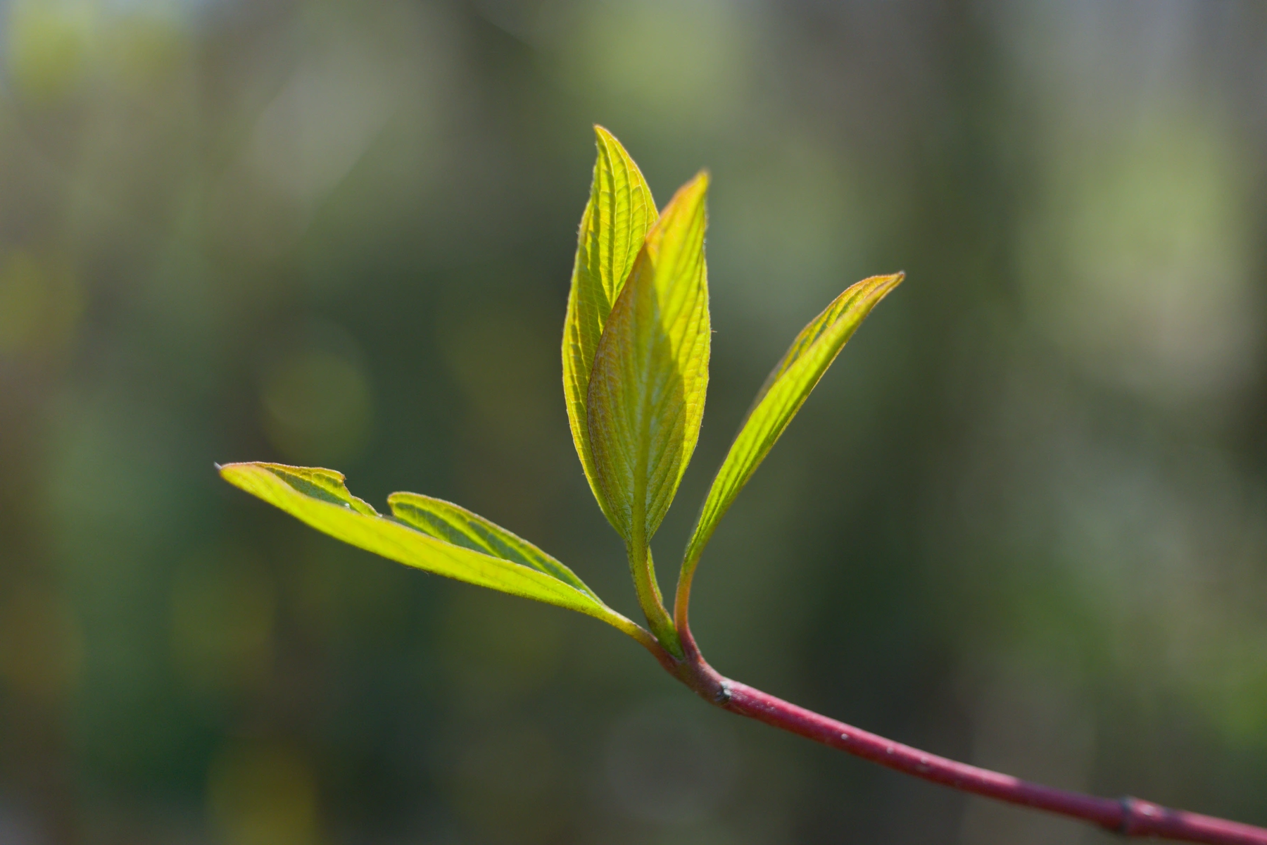 5 von 8 - Fundstücke