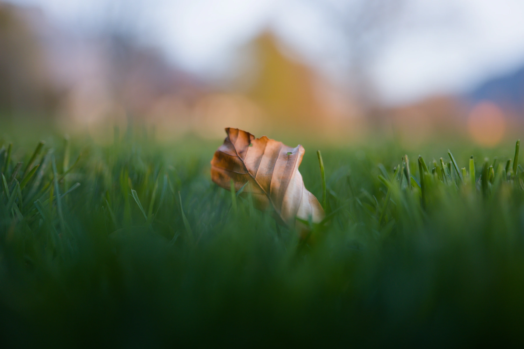 8 von 8 - Fundstücke